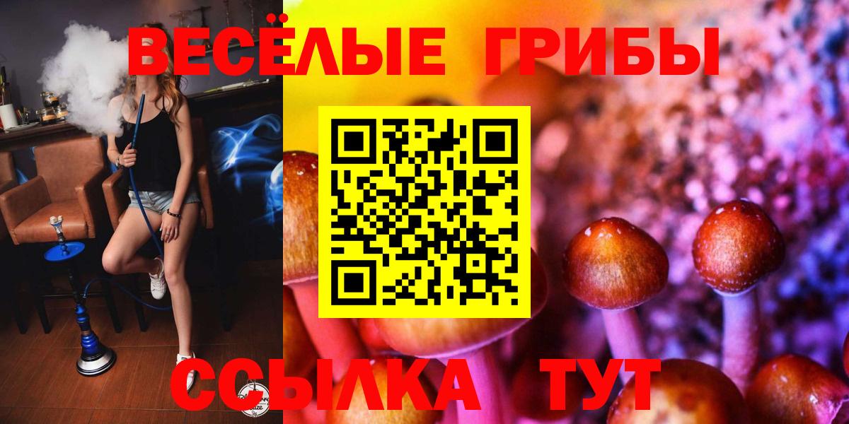 Псилоцибиновые грибы ЛСД  Галлюциногенные грибы MAGIC MUSHROOMS  Усть-Илимск  Вход с VPN 